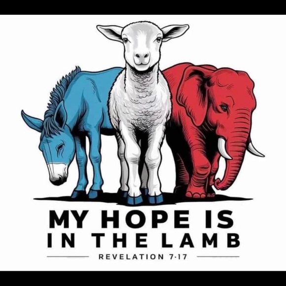 Meet your Posher, Jason - Picture 14 of 16